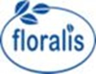  Флоралис