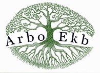 Arbo - Ekb