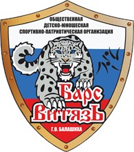 Барс-Витязь