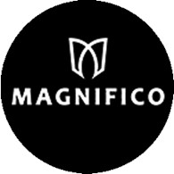 Magnifico Car Design