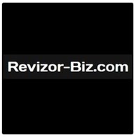 revizor-biz.com всё о заработке