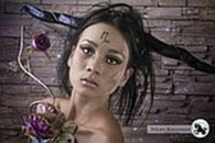 Сеть Студии красоты "HAIR DESIGN"