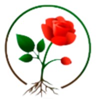 Цветочная коллекция