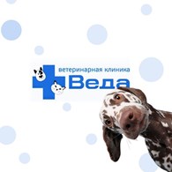 Веда