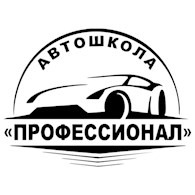 Профессионал