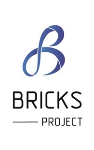Bricks Project