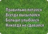 Субъект предпринимательской деятельности Интернет Магазин " Вам Все по карману "