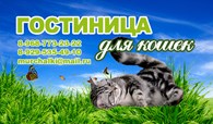 ООО Гостиница для кошек