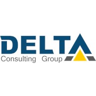 LLC Delta Consulting Group