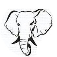 Белый Слон