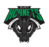 Black Hornets Hydra