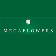 "Megaflowers" на Первомайской