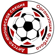 Организация футбола