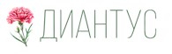 Цветы Диантус