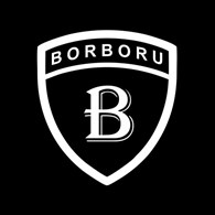 ООО Borboru