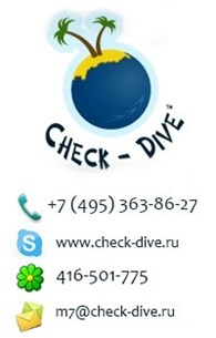 CHECK-DIVE