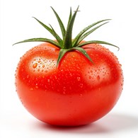 Южная Кубанская Торгово-Производственная корпорация