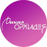  Дикая орхидея