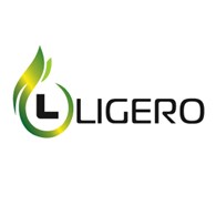 ООО Ligero