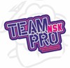 Team Pro NSK