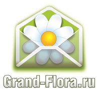 "Гранд Флора" Бугульма