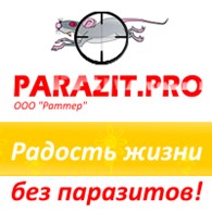 ООО Раттер