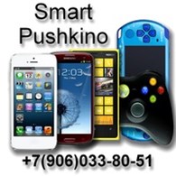 ИП SmartPushkino