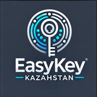 ИП Eeasy key