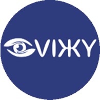 VIЖY