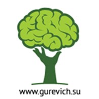 LLC Gurevich Web Solutions