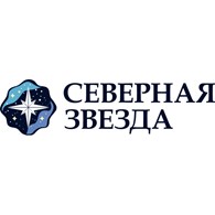 Северная звезда