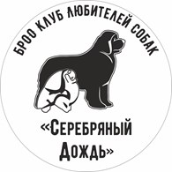 Серебряный дождь