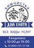 Два Енота