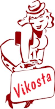 Интернет-магазин « VIKOSTA»,