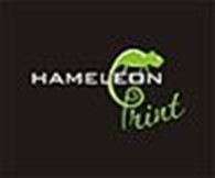 Субъект предпринимательской деятельности ИП "Hameleon print"