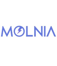 Molnia Electronics