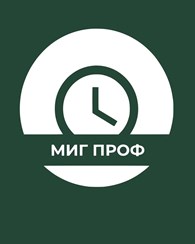  Миг Проф