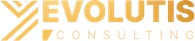 Evolutis Consulting