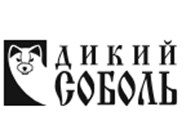 Дикий Соболь
