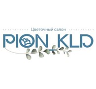 Pion_39