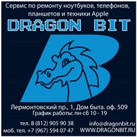 ИП DragonBit