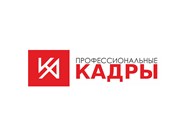 Профессиональные кадры