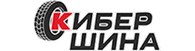 Кибершина