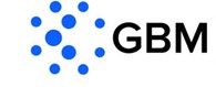 gbmsecurities.info