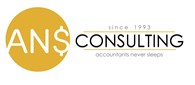 ООО ANS Consulting