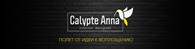 Calypte anna