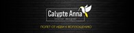  Calypte anna