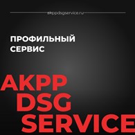 Akpp-dsg-service