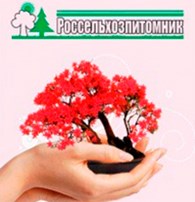 Россельхозпитомник