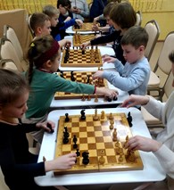 Любители шахмат